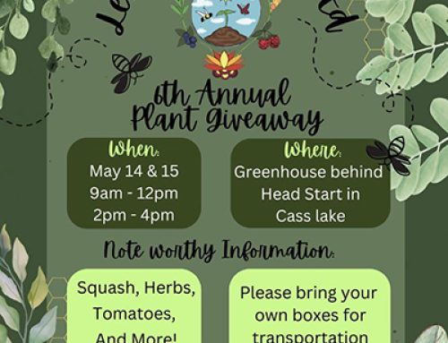 6th Annual Plant Giveaway